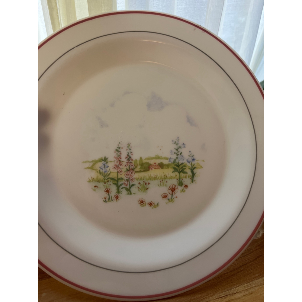 Arcopal White Pink Floral Dinnerware Plate One Size - Picture 4 of 5